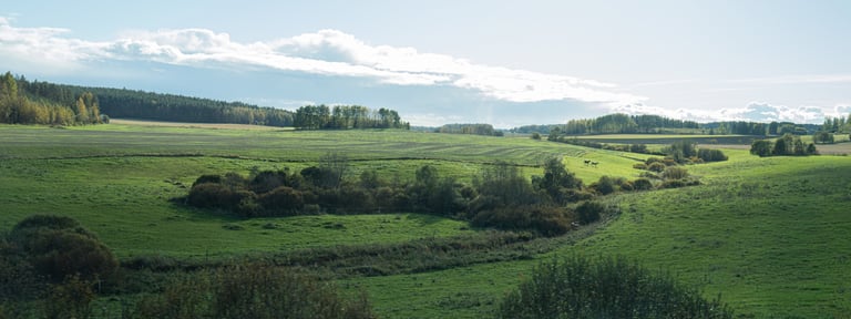 Hevoslaidun 24.09.2025