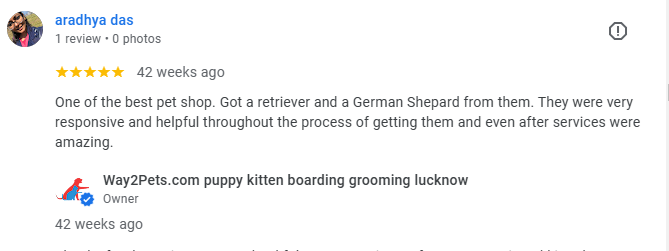 bought 2 dogs retriever and gsd german shepherd