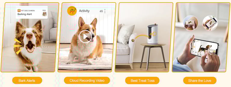 Monitor Pets While I am at Work