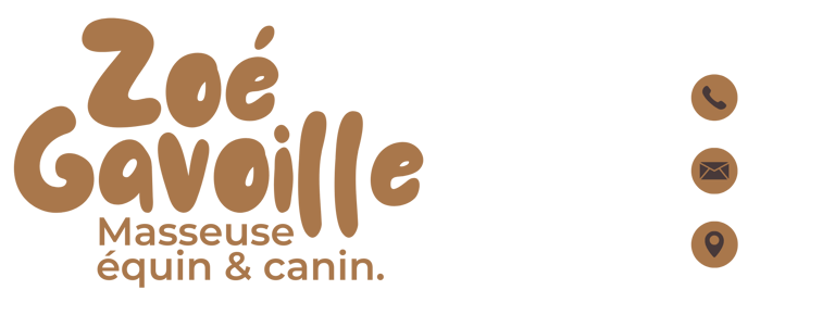 Masseuse équin et canin Zoé Gavoille