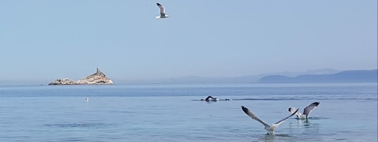 Le Ghiaie beach Elba Island sea