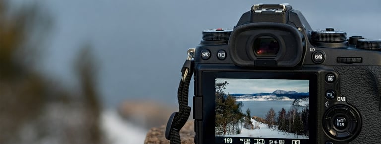 a camera with a camera attached to a wooden stump