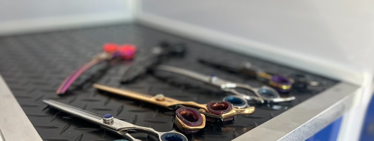 Professional dog grooming shears and scissors neatly arranged on table for precision coat trimming