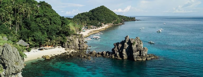 Vista de Apo Island