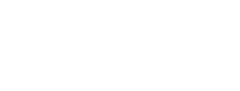 logo piel estrella blanco