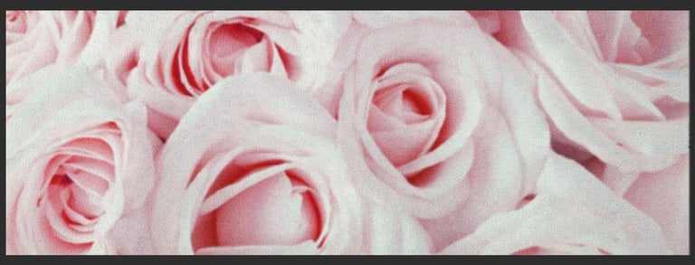 a bunch of pink roses in a black frame