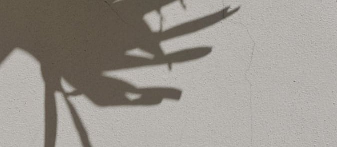 A gray wall with shadows of palm leaves being cast on the for LVF.LVX's shadow work website.