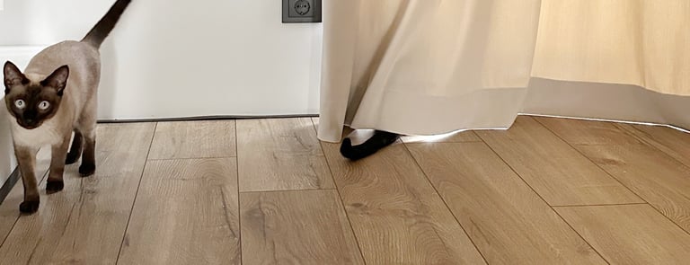 curtains