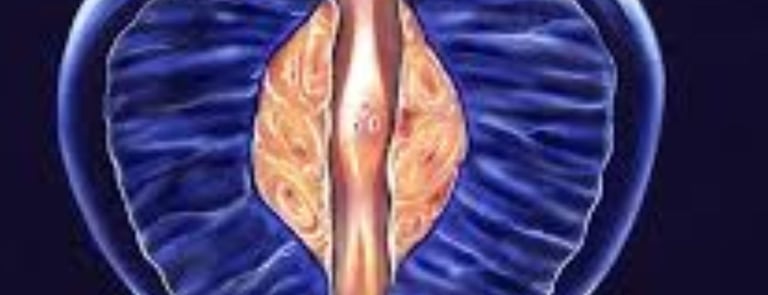 Benign Prostatic Hyperplasia (BPH): Fasting and Honey