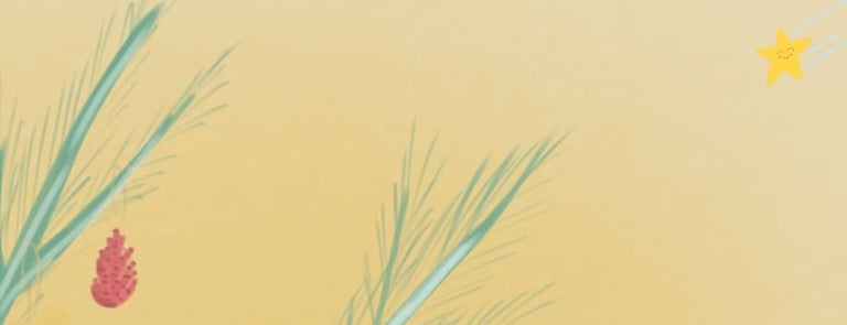 etoile filante venue du pole nord !