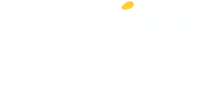 The Bedig Minnasi brand logo featuring a white tiger