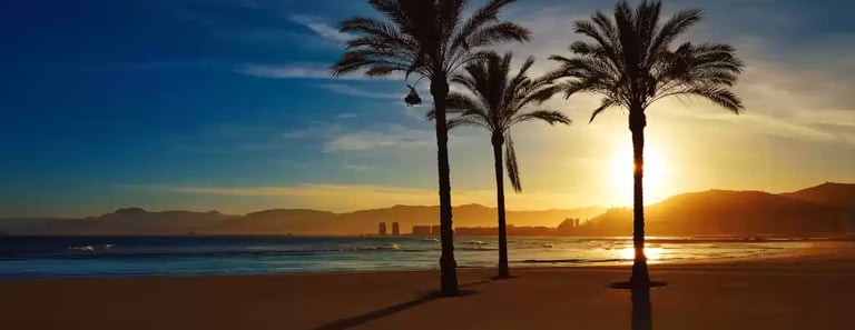 a sunset on a beach with palm trees Faro de Cullera