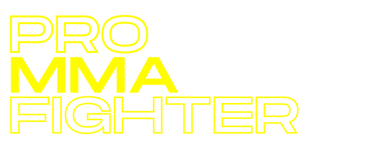texte pro mm fighter