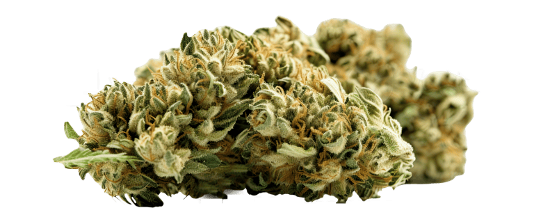 Cannabis flower