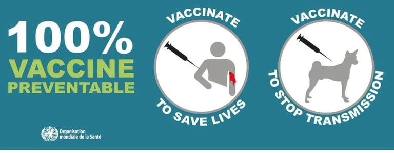 vaccine stop transmission