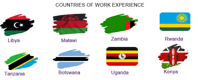 Map flags representing work experience in Libya, Malawi, Zambia, Rwanda, Tanzania, Botswana, Uganda, and Kenya.