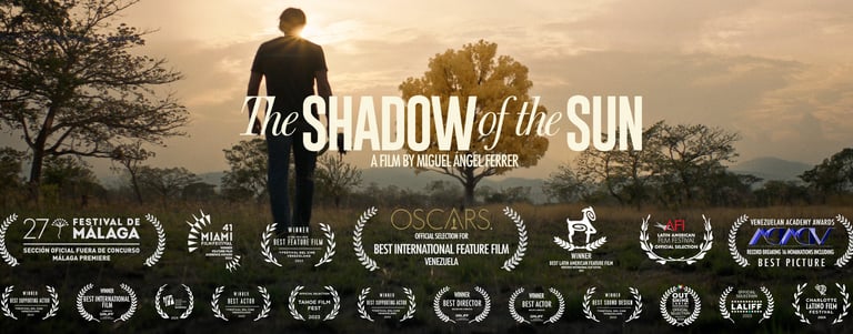 Movie poster for The Shadow of the Sun showing a man standing in a field at sunset with film festival awards.