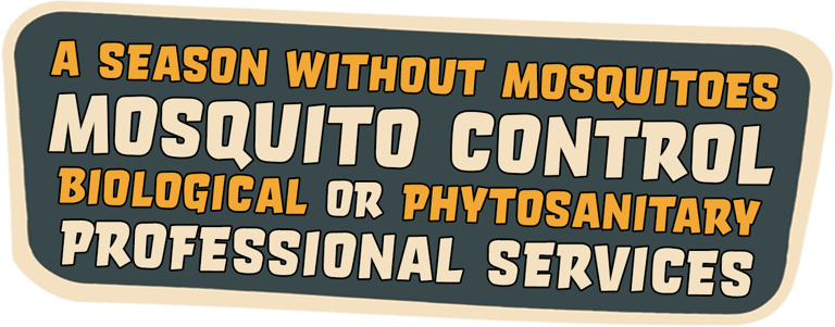 Mosquito in Beaulieu sur mer Banner