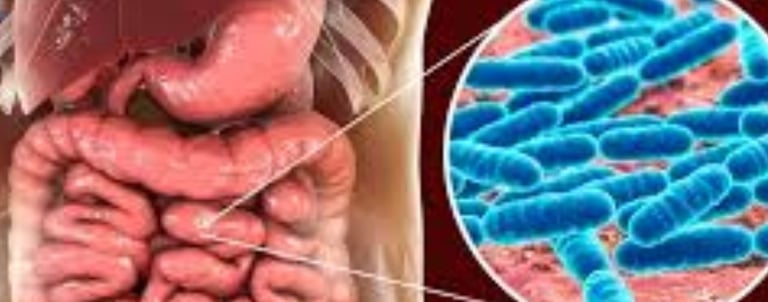 #Microbiome #Fasting #Probiotics #CancerPrevention #CancerResearch #GutHealth #Immunity #FastingTher