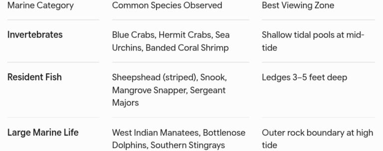fish at point of Rocks chart