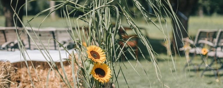 Rustikale Hochzeitsdekoration im Freien mit leuchtenden Sonnenblumen und hohem Ziergras