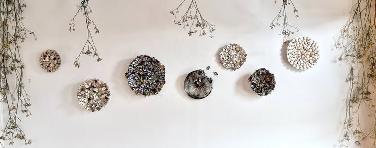 full wall installation of multiple seashell mandalas