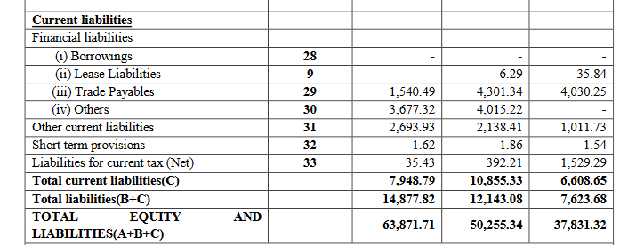 liabilities 2 _ems lt ipo analysis_the moat investor