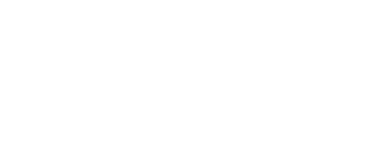 Direct Freight Express logo — Proudly using Safee EWD for national fleet compliance