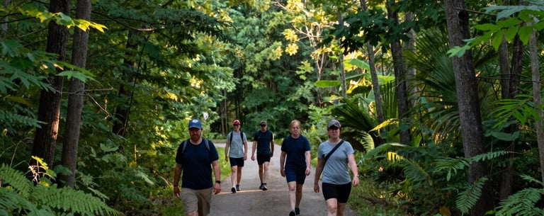 A wide-angle photography shot of a community wellness walk on a paved trail through a lush, green Michigan forest. The sunlight filters through the trees, casting a warm glow. North American / Michigan US.