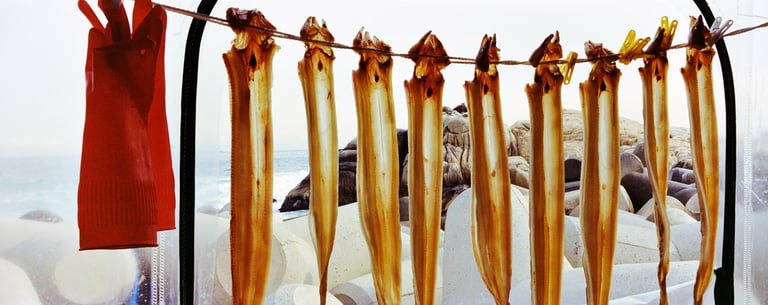 Waterscape, Busan 2017 ©Bruno Réquillart