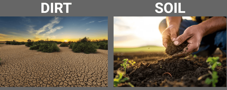 dirt vs soil