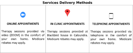 Services Delivery Methods at Reflective Practices & Supervision