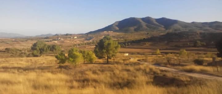 one to one residentials spain