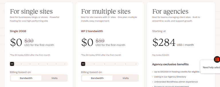 kinsta web hosting software price review
