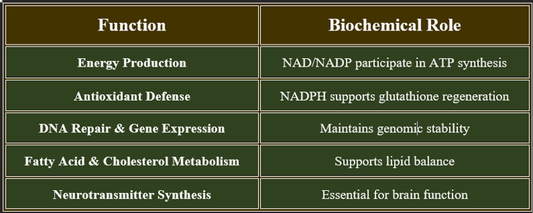 Niacine_functions