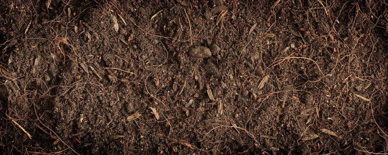 organic soil