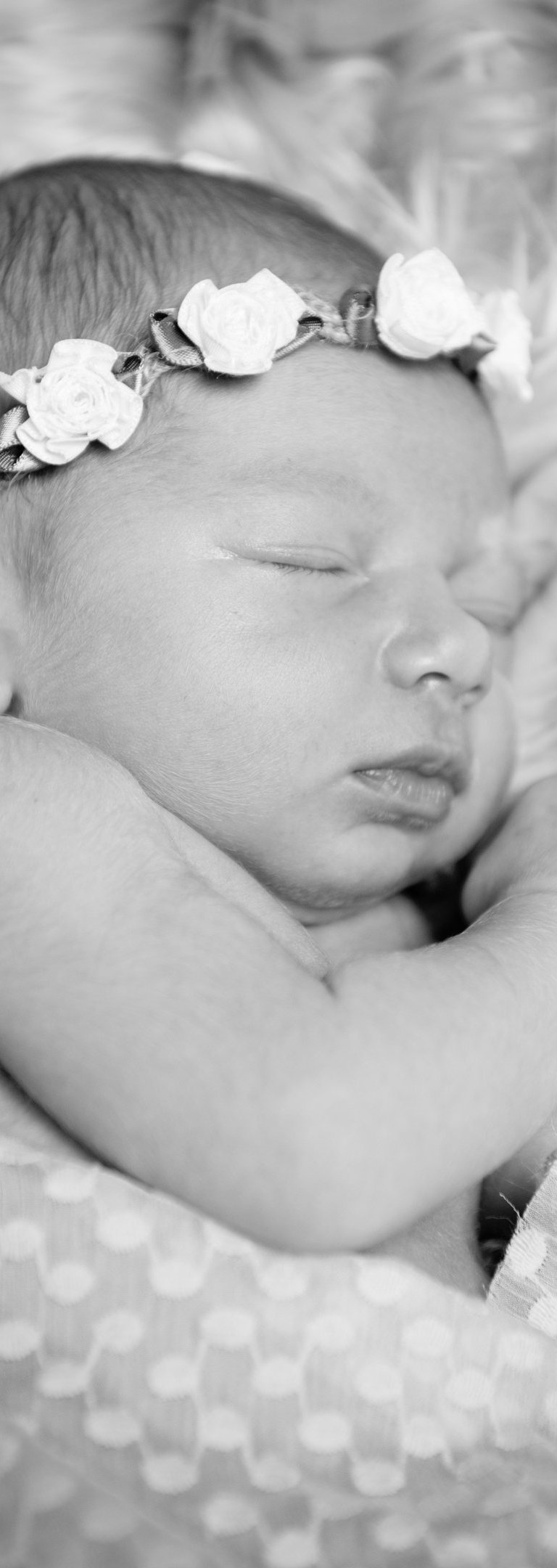 Bébé endormi avec une jolie couronne de fleurs posée sur sa tête, photo en noir et blanc