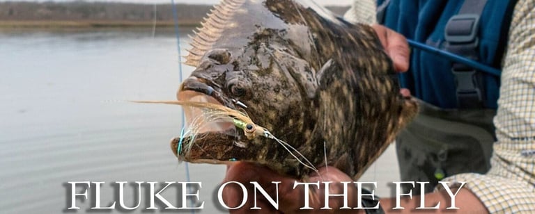 Fluke on the fly