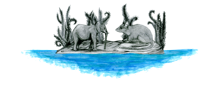 Draw of an elephant and a rodent in an island, by Blanca Moncunill-Solé CC BY-NC-ND 4.0