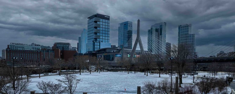 Paul Revere Park, Zakkum Bridge Skyline