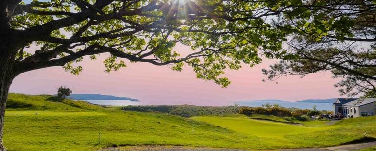 Scenic Scottish Countryside