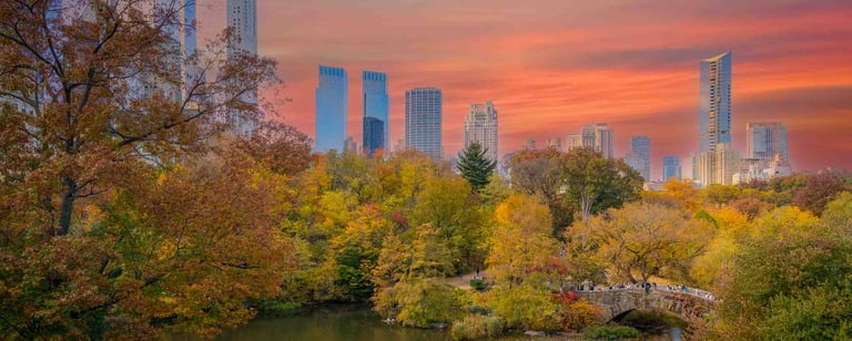 Central Park Autumn Landscape