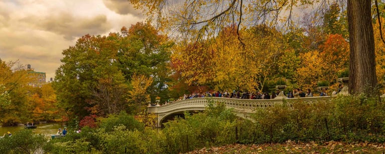 Bow Bridge Central Park Autumn Landscape
