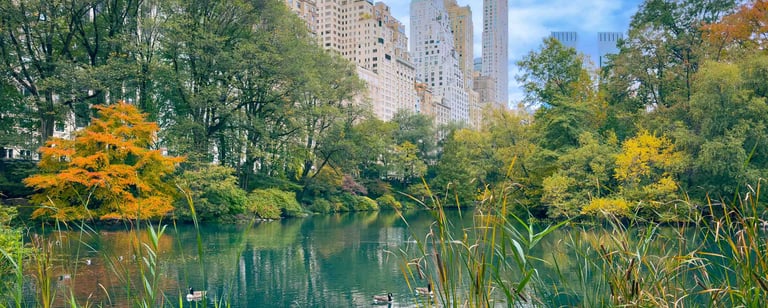 Cemtral Park with NYC Skyline