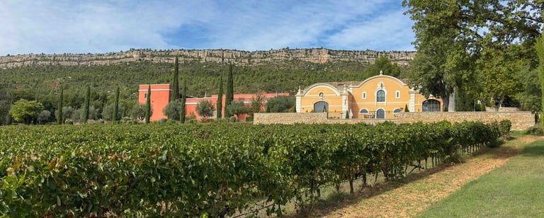 Chateau De La Galiniene Winery
