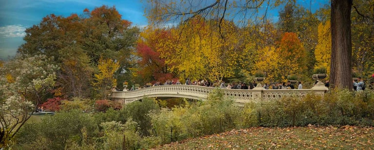Central Park Bridge Photo