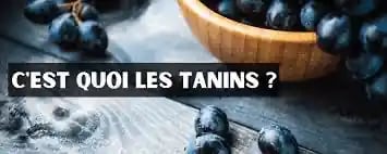 les tanins du lissage 