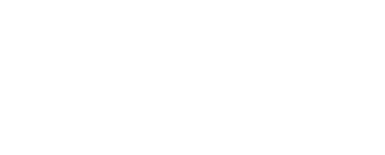 Intrepid Mental Wellness 