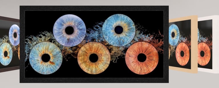 Tableau de cinq iris avec un éclat d'eau et un cadre américain