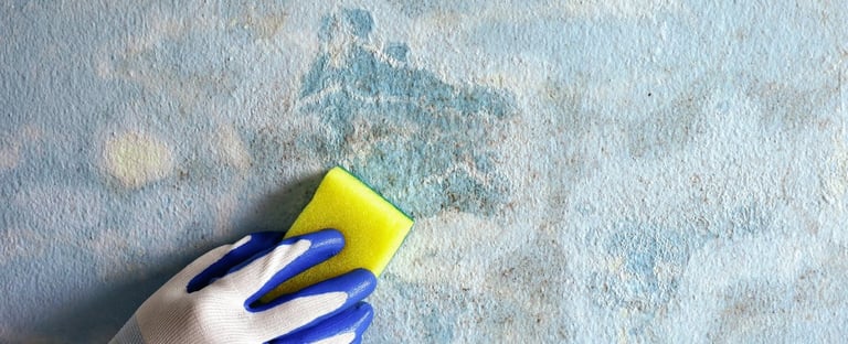 Eco-friendly non-toxic paints used for sustainable painting in UAE
